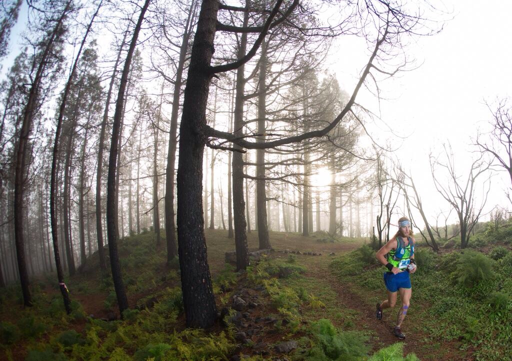 Transgrancanaria 125k - Timothy Olson running through the trees into Talayon.